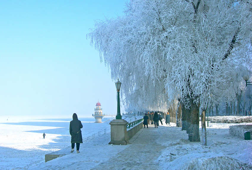 1-DSCN5384-3ͷڡ.jpg