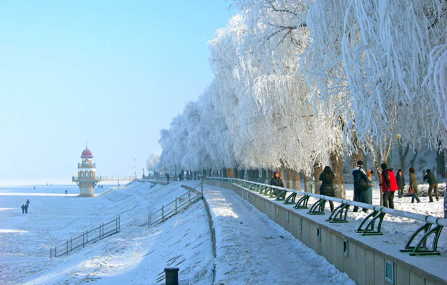 1-DSCN5391-3.jpg