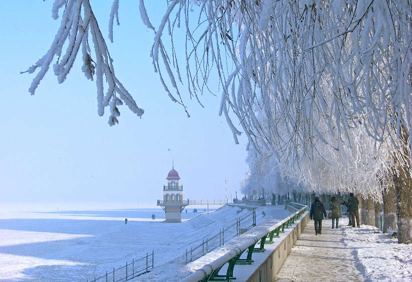 1-DSCN5397-3.jpg