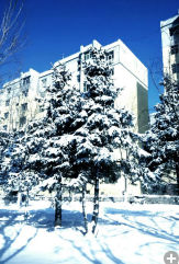 QQͼƬ20150310110016.png