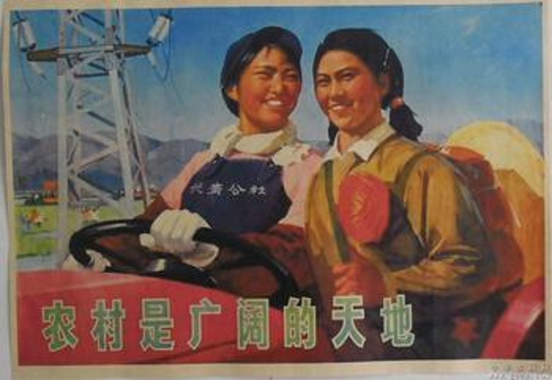 1135952_711160_conew1.jpg