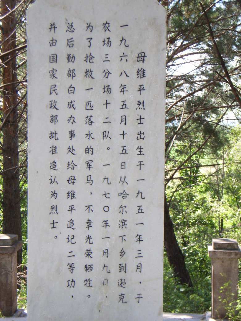 cf0bbc200b25e7424d088d24_conew1.jpg