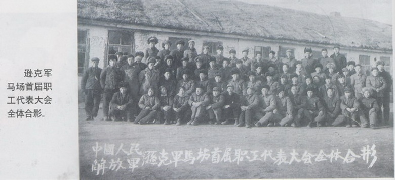 CY0074_conew1.jpg