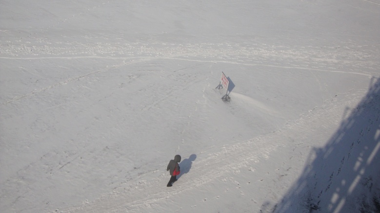 DSC05378_conew1.jpg