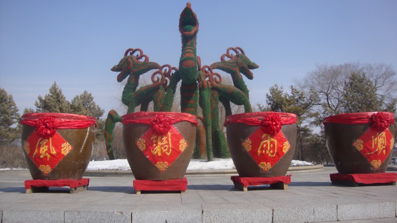 DSC05430_conew1.jpg