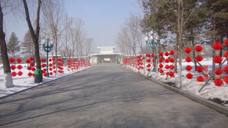 DSC05410_conew1.jpg