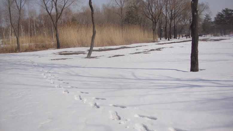 DSC05429_conew1.jpg