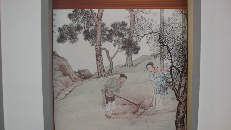 DSC05556_conew1.jpg
