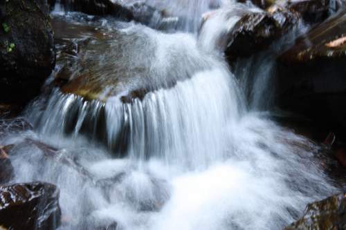 IMG_0460_conew1.jpg