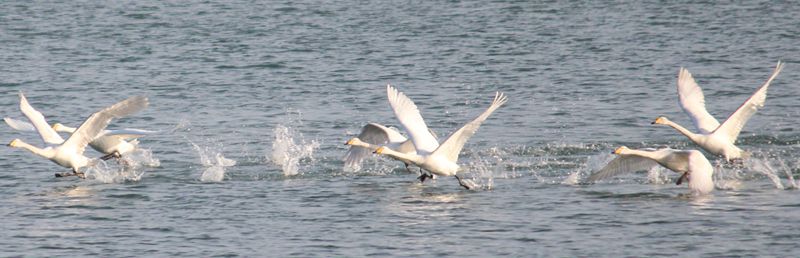IMG_3332_2345ͼ_ͼ.jpg