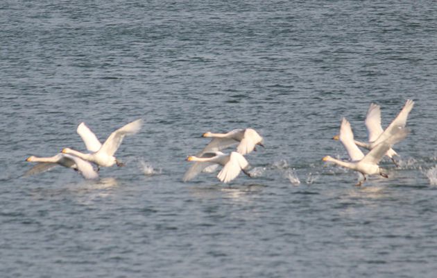 IMG_3339_2345ͼ_ͼ.jpg