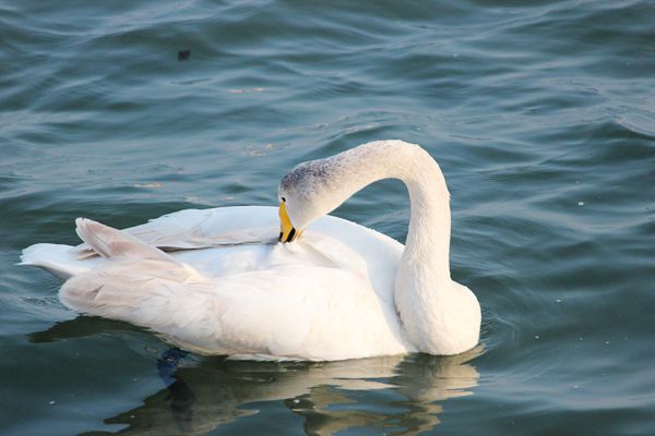 IMG_2823_ͼ.jpg