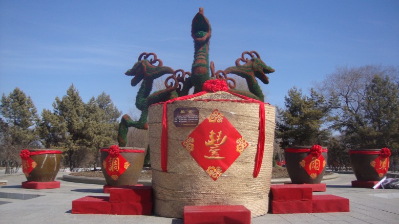 DSC05795_conew1.jpg