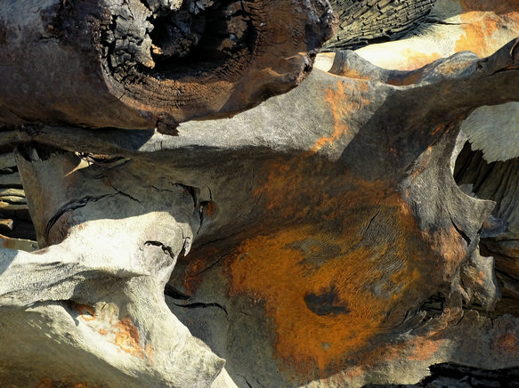 DSC02578__1.JPG