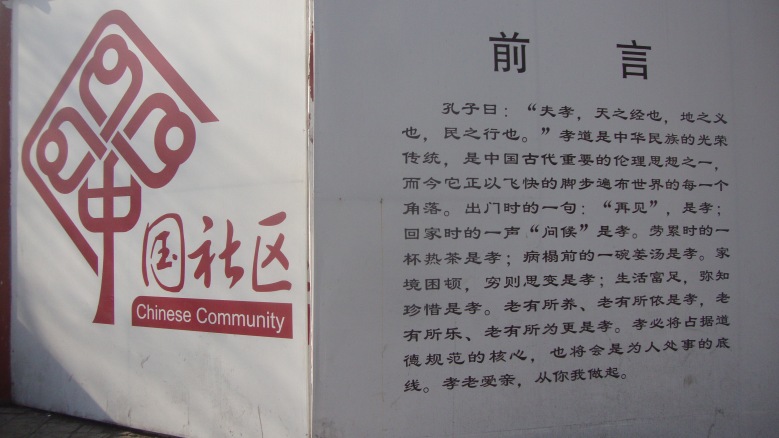 DSC06392_conew1.jpg