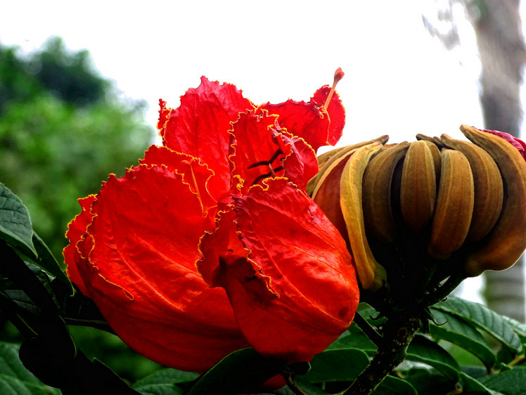 DSC03332_1.JPG
