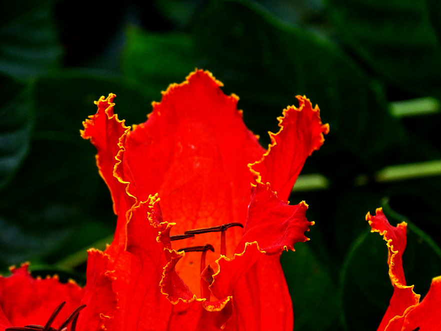 DSC03361_1.JPG