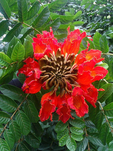 DSC03360_1.JPG