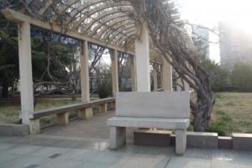psb (7)_conew1.jpg