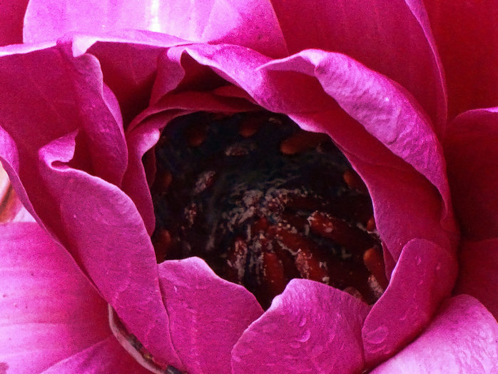DSC03407_1.JPG
