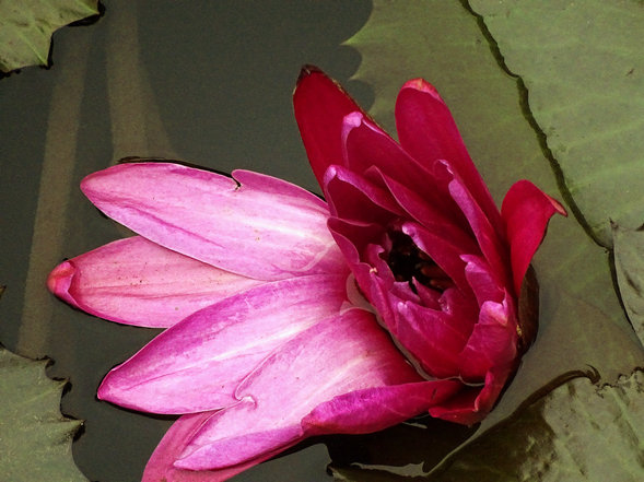 DSC03412_1.JPG