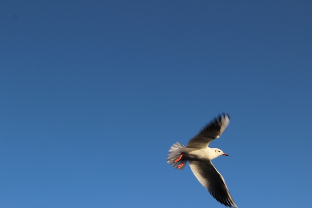 Ħ˲ݽɳ 012.jpg