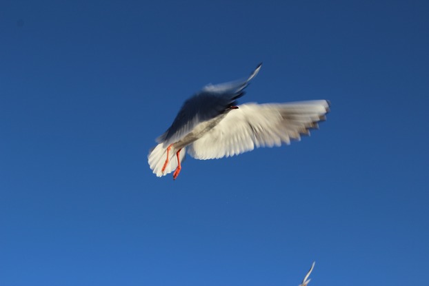Ħ˲ݽɳ 013.jpg
