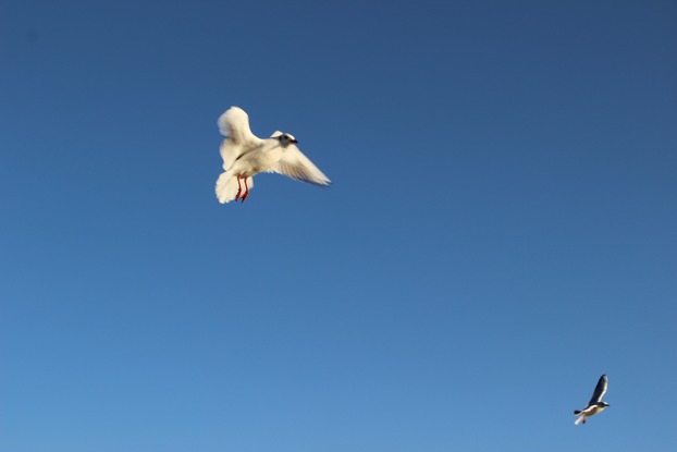 Ħ˲ݽɳ 014.jpg