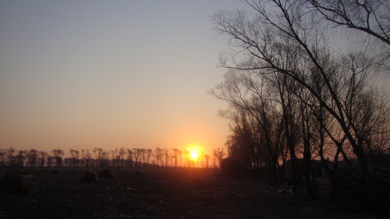 DSC06496_conew1.jpg