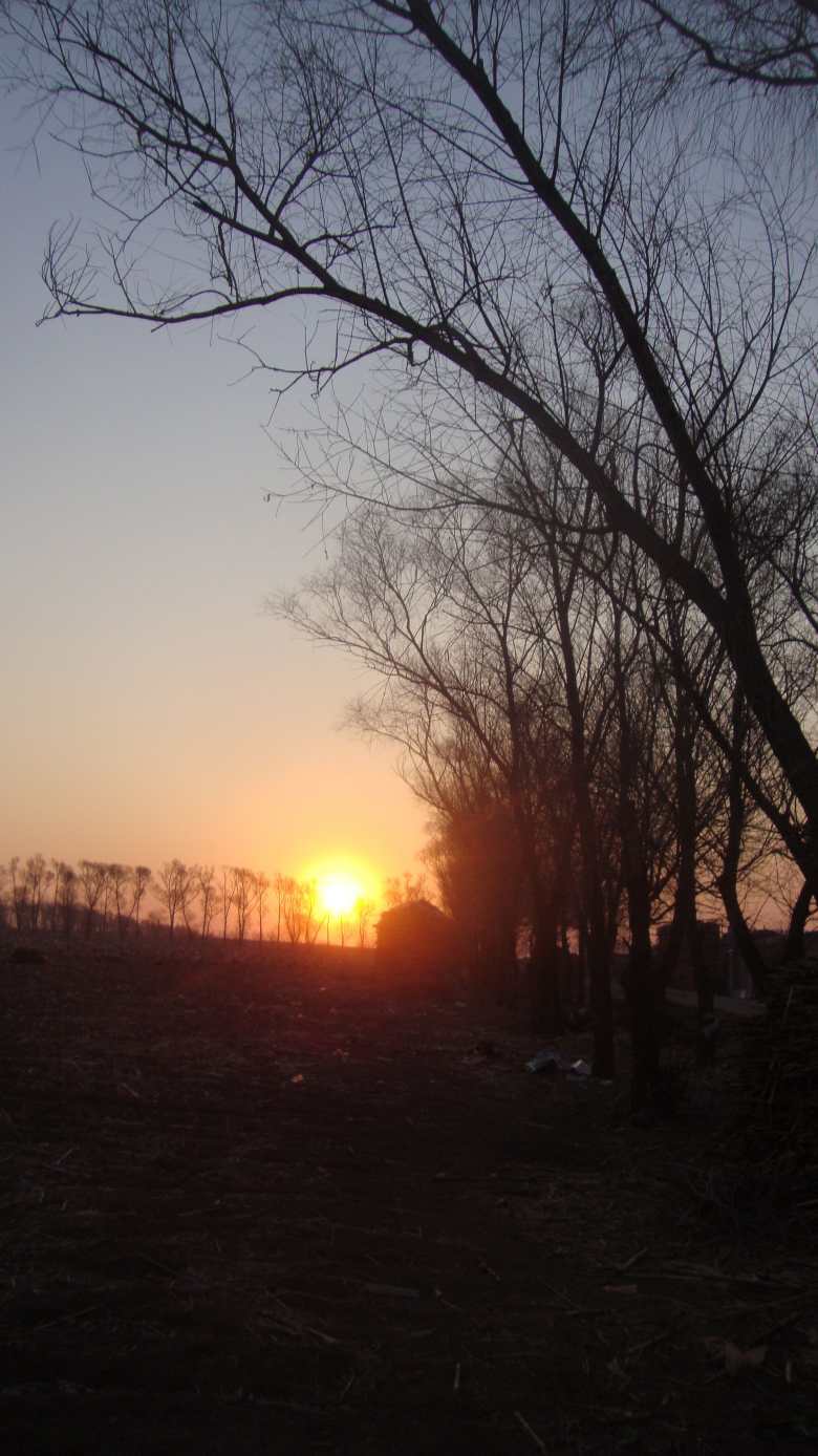 DSC06497_conew1.jpg