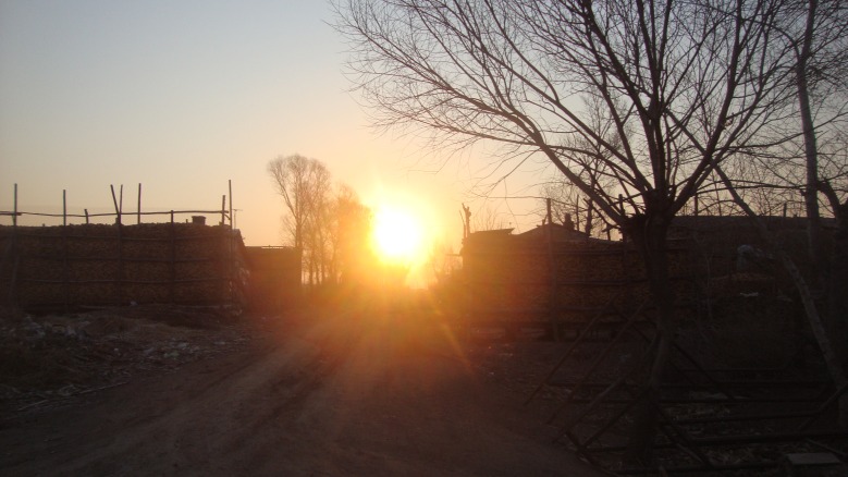 DSC06519_conew1.jpg