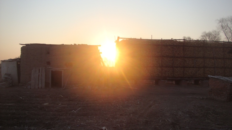 DSC06521_conew1.jpg