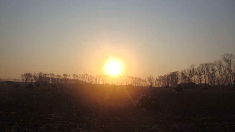 DSC06531_conew1.jpg
