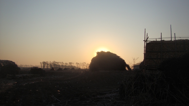 DSC06541_conew1.jpg
