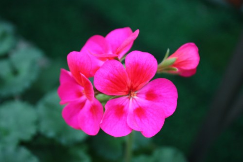 IMG_8714_conew1.jpg