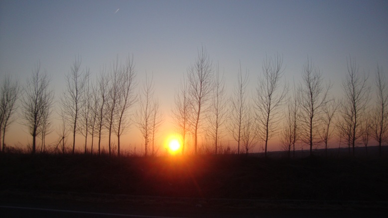 DSC06479_conew1.jpg