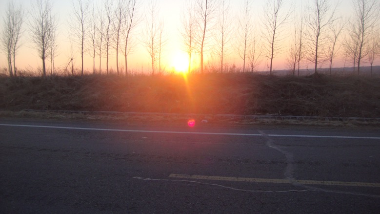 DSC06480_conew1.jpg
