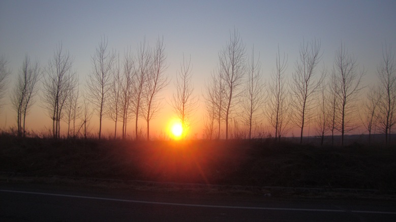 DSC06482_conew1.jpg