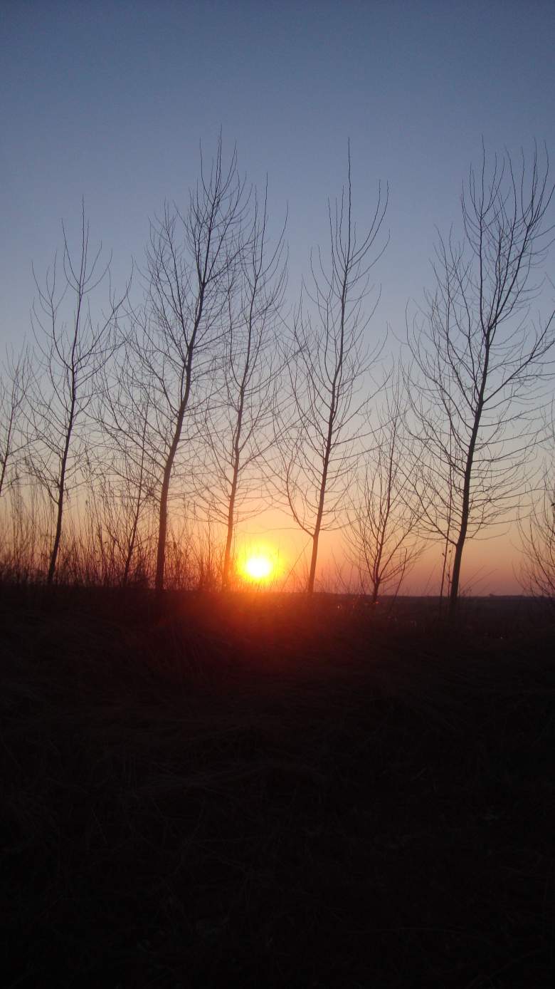 DSC06485_conew1.jpg