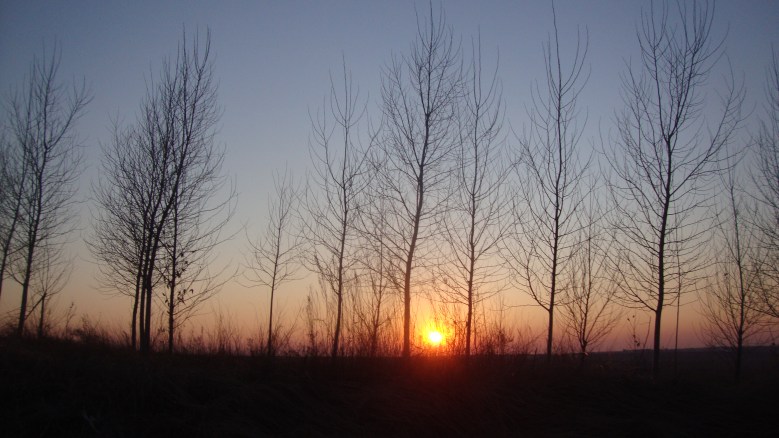 DSC06486_conew1.jpg