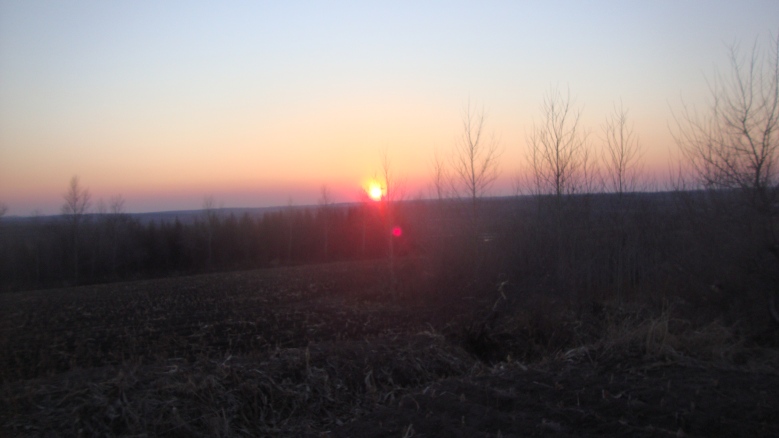 DSC06487_conew1.jpg