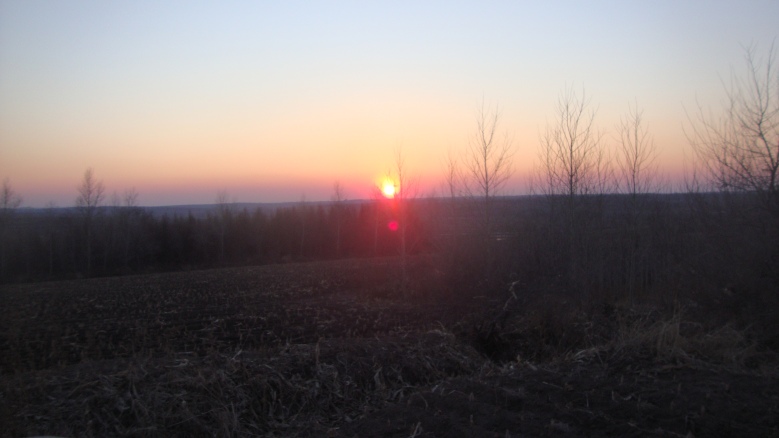 DSC06488_conew1.jpg