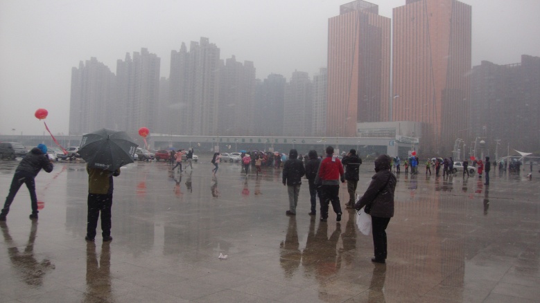 DSC06780_conew1.jpg