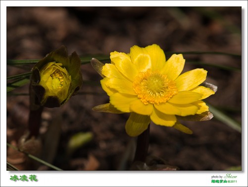 userid190361time20110406041330at34_conew1.jpg