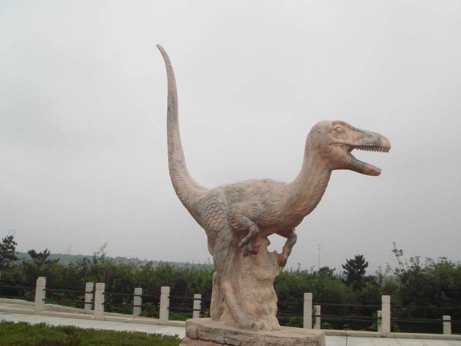 DSC04189.JPG
