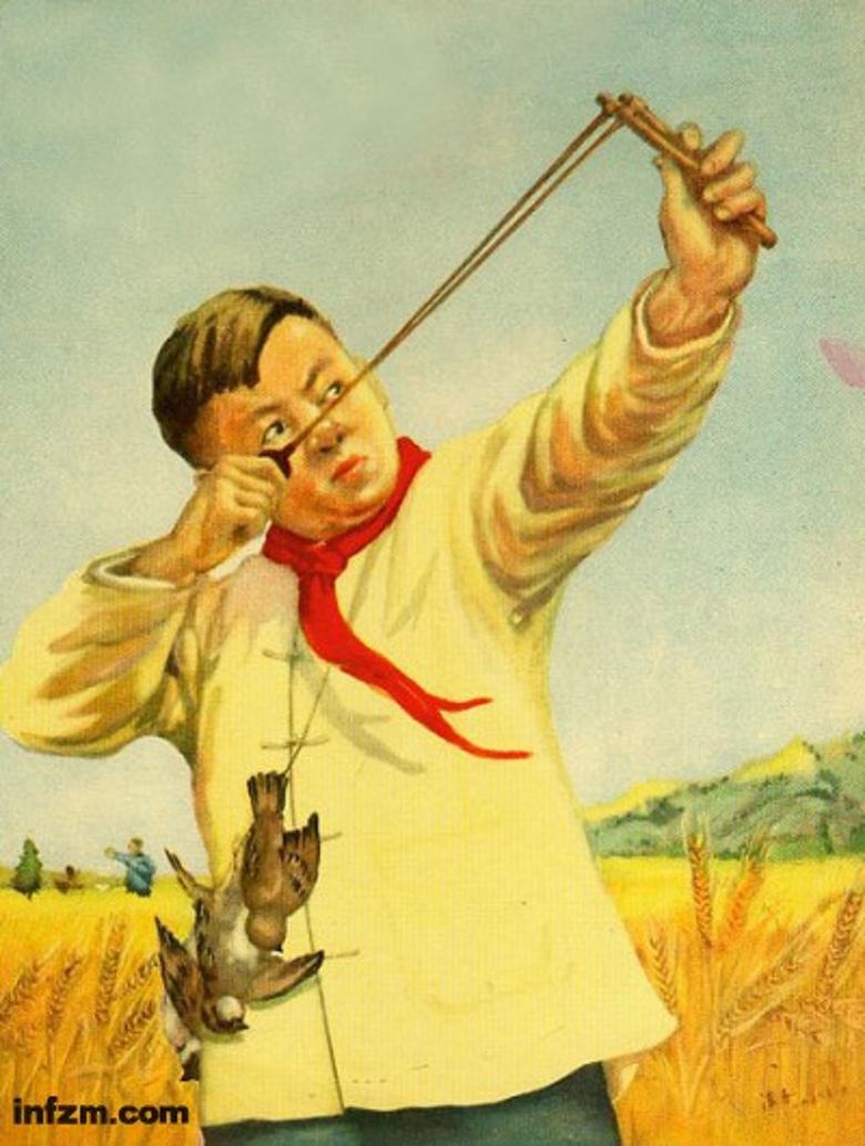 1917126066476654341_conew1.jpg