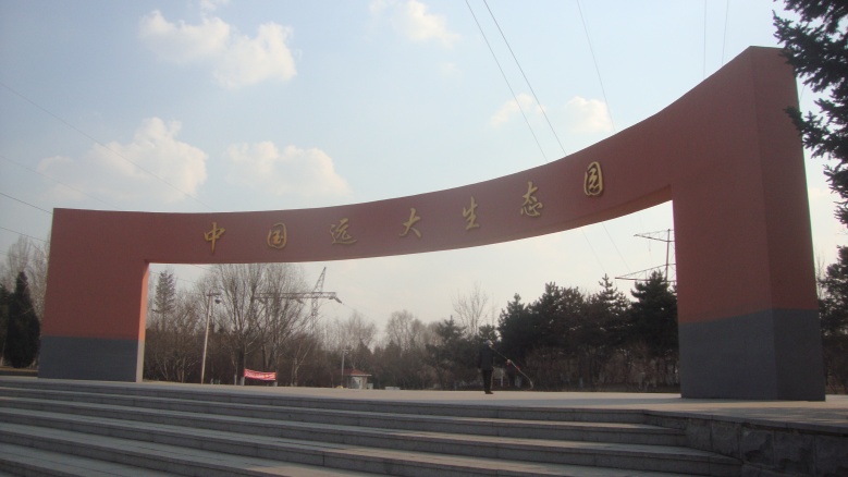 DSC06895_conew1.jpg