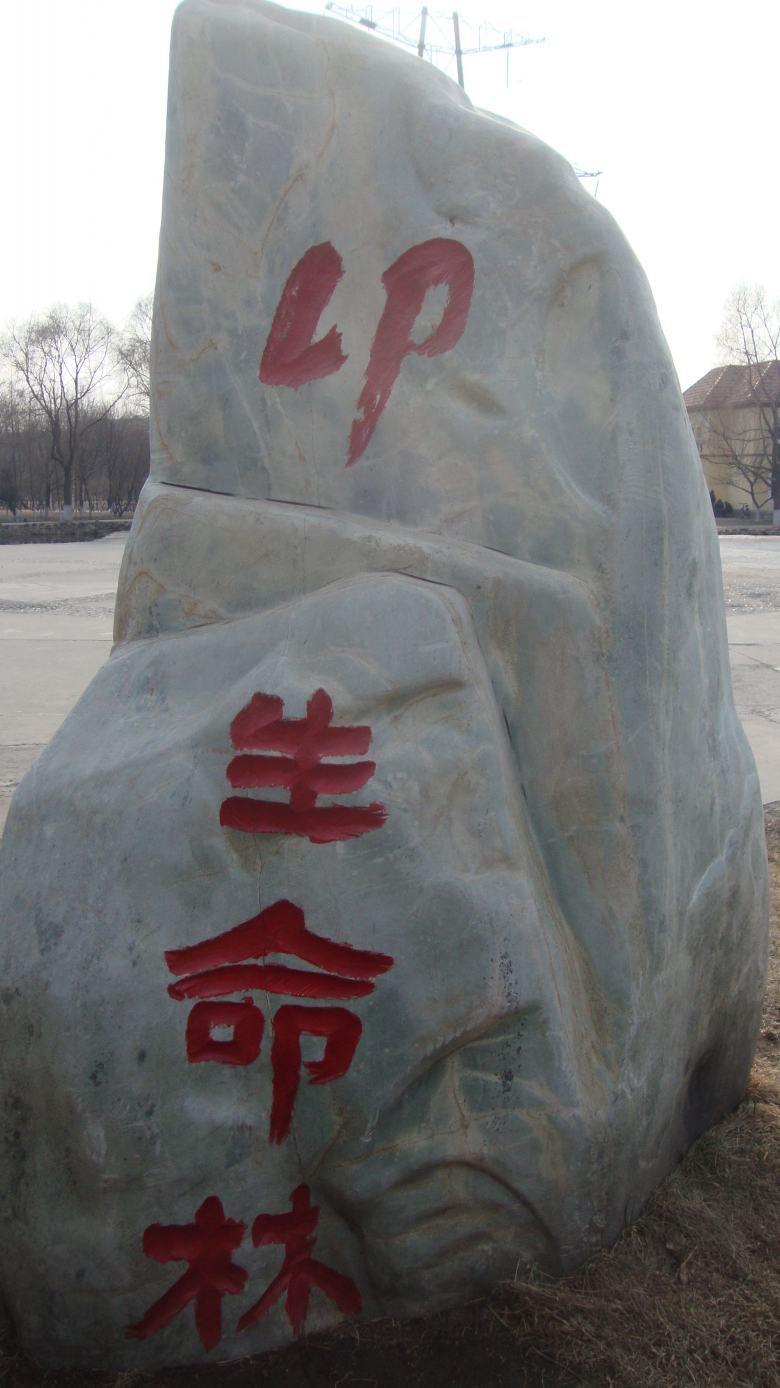 DSC06870_conew1.jpg