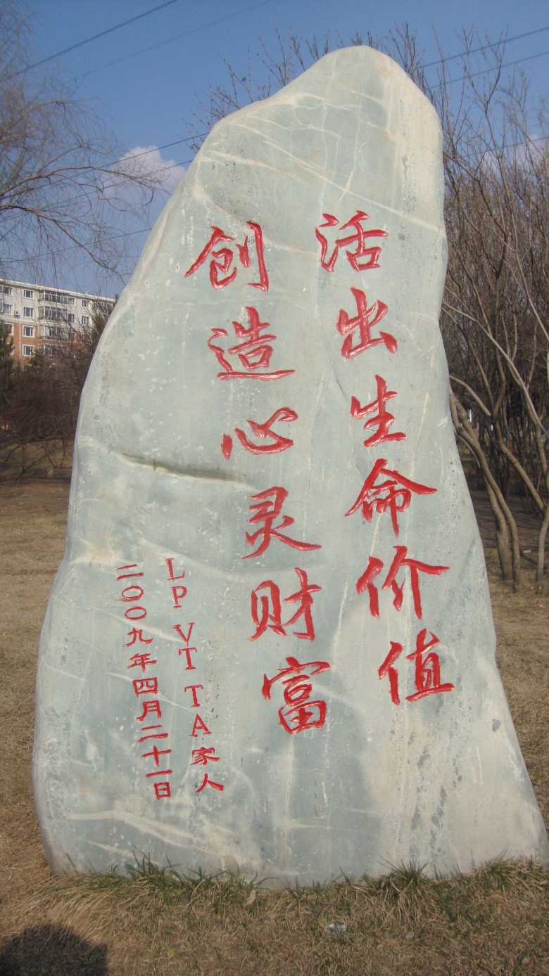 DSC06872_conew1.jpg