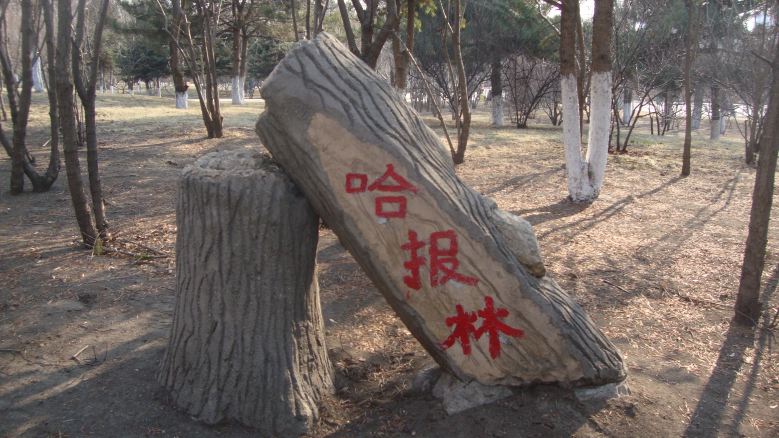 DSC06890_conew1.jpg